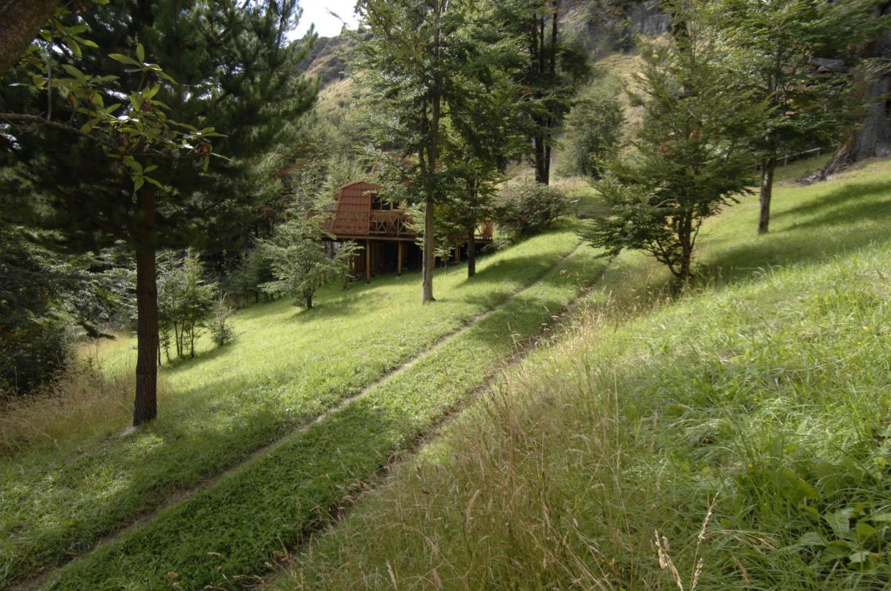 Cabanas Lago Elizalde Coyhaique Dış mekan fotoğraf